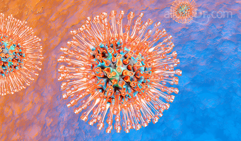 Genital Herpes Genital Herpes